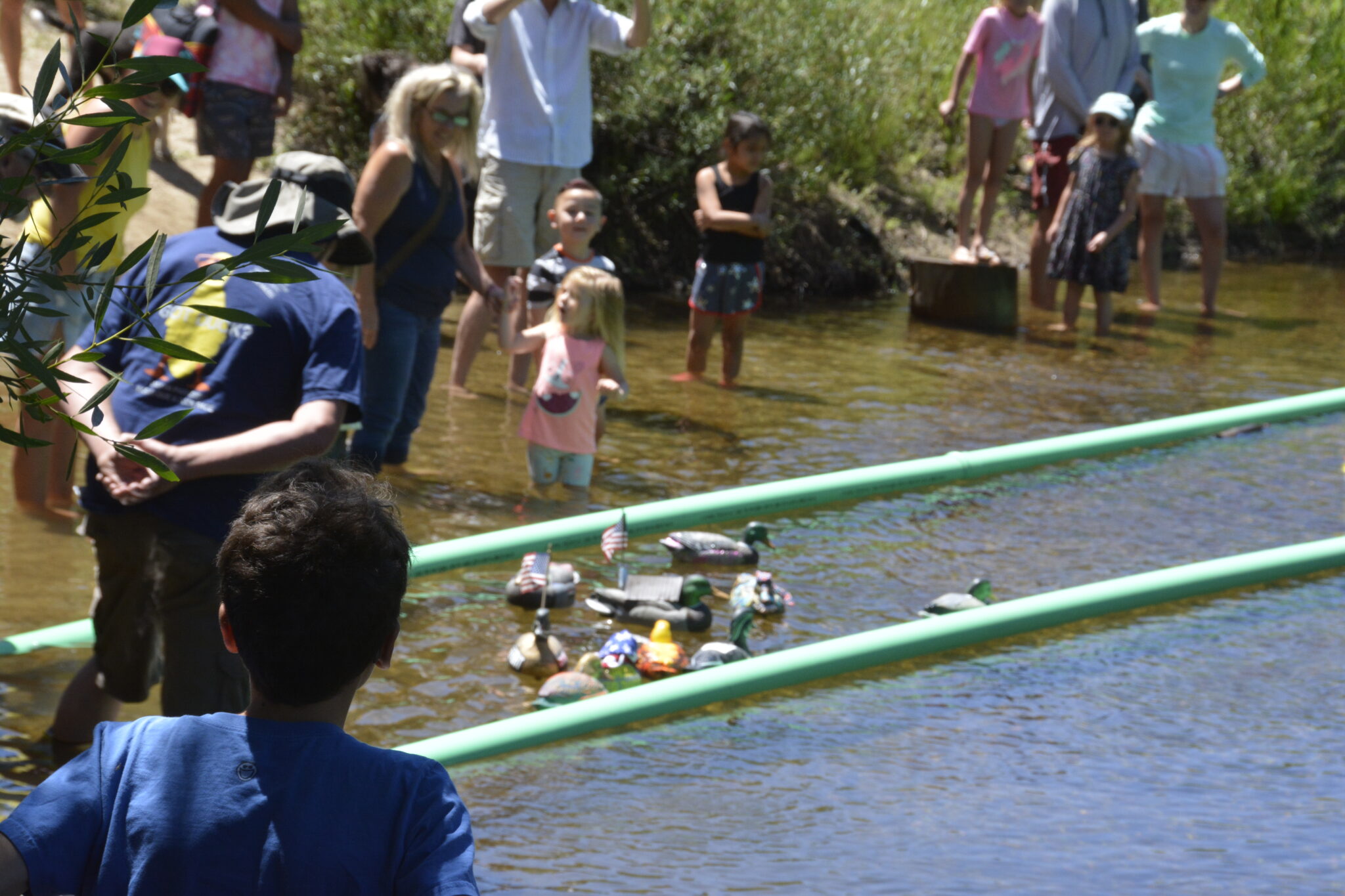 Day in Paradise Duck Races - July 18th 2026 - South Lake Tahoe Optimist ...